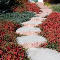 fossilcreeknursery.com