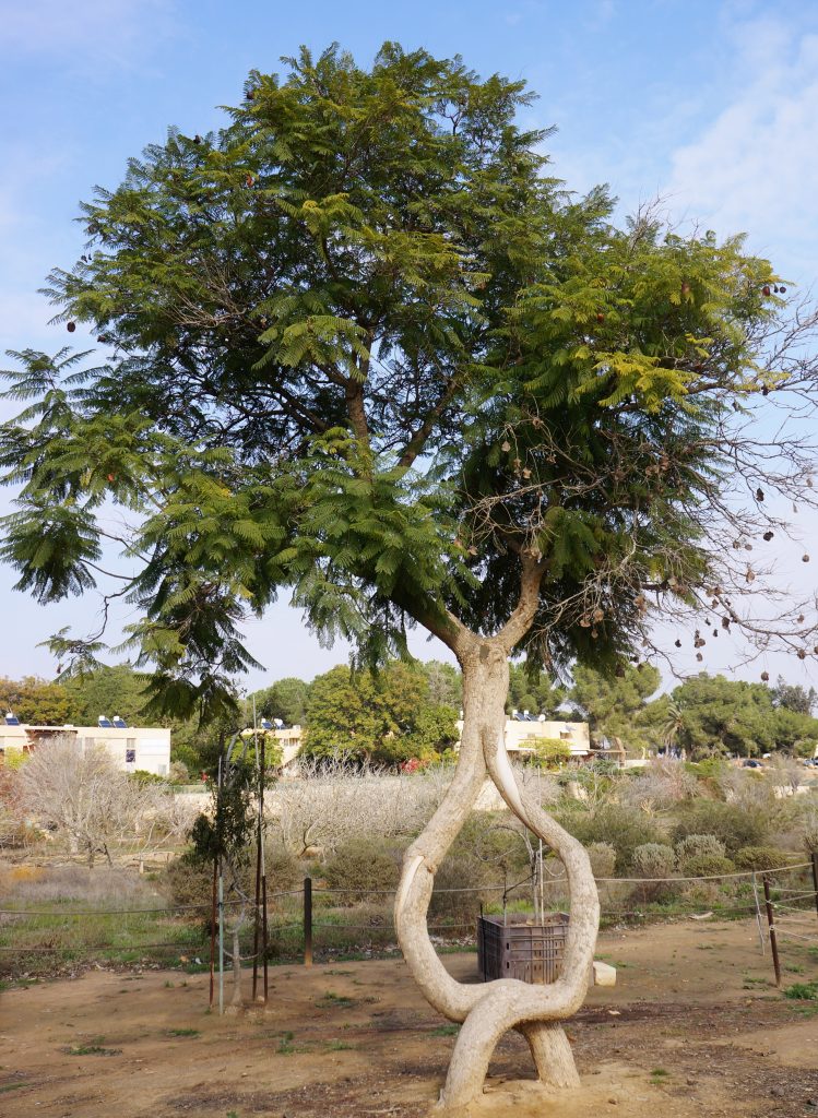 זוג אוהבים