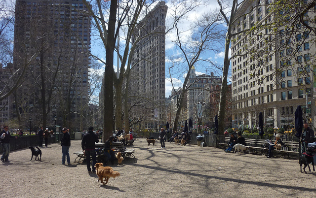 dog run ,Madison sq park, NY, USA