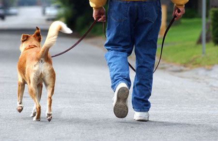 A02JAA Man walking dog
