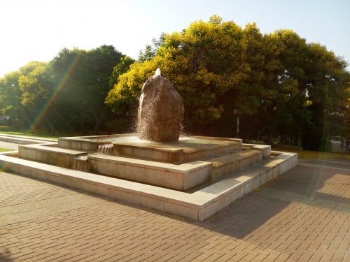 גן גדי גטס רעננה יולי 2017 2