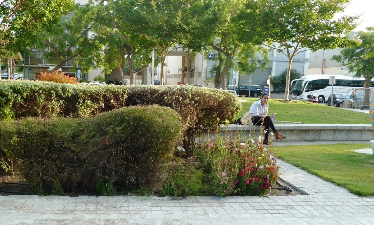 החושלים פינת אריה שנקר הרצליה פיתוח5