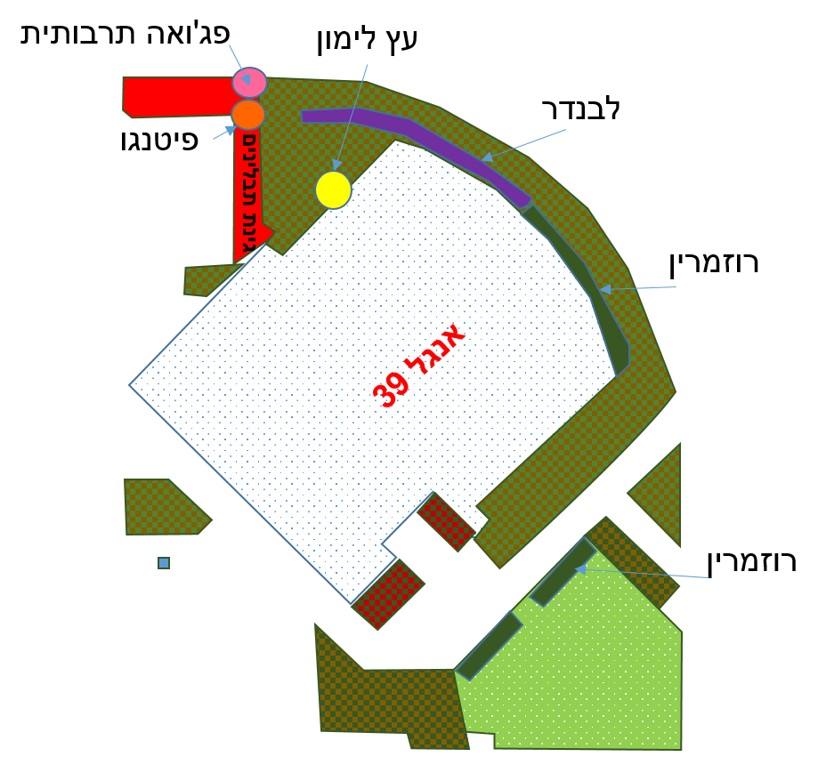 צמחי מאכל בגינה של בניין אנגל 39