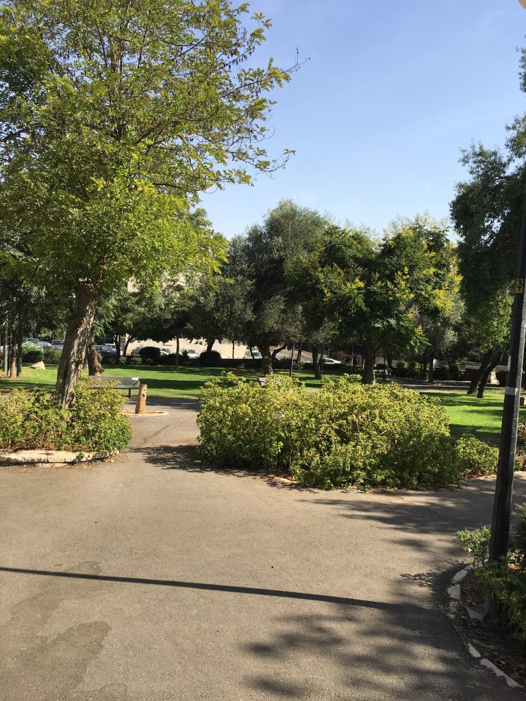 גן סוקולוב ירושלים