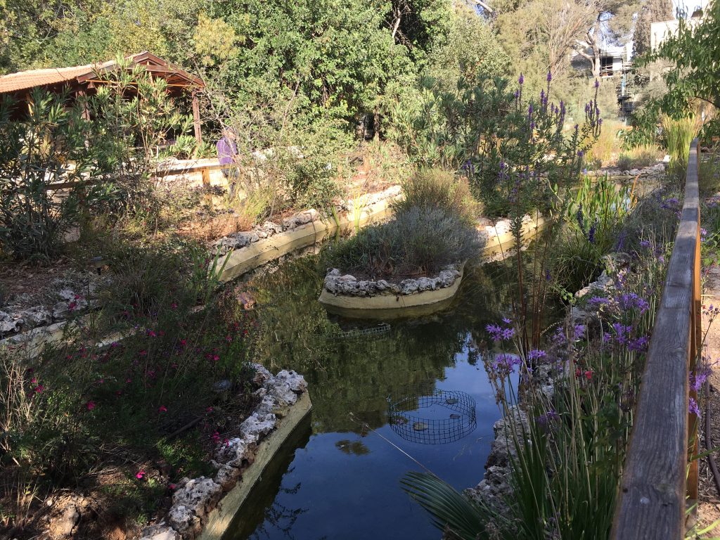 גינה קהילתית מוזאון הטבע ירושלים img_3745
