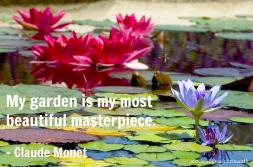 ציטוטים: Claude monet